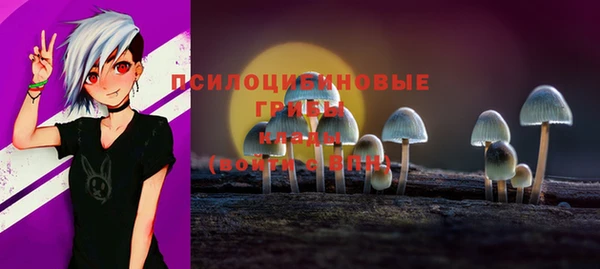 ГАЛЛЮЦИНОГЕННЫЕ ГРИБЫ Верхнеуральск