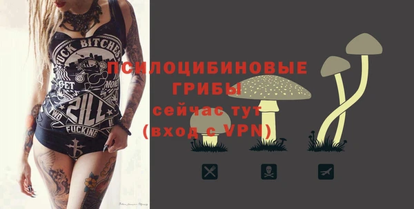 дурь Верея