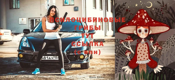 ГАЛЛЮЦИНОГЕННЫЕ ГРИБЫ Верхнеуральск
