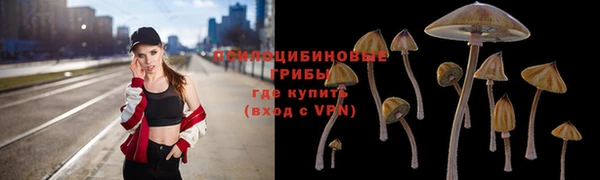 дурь Верея